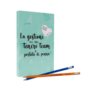 Set Team Leader